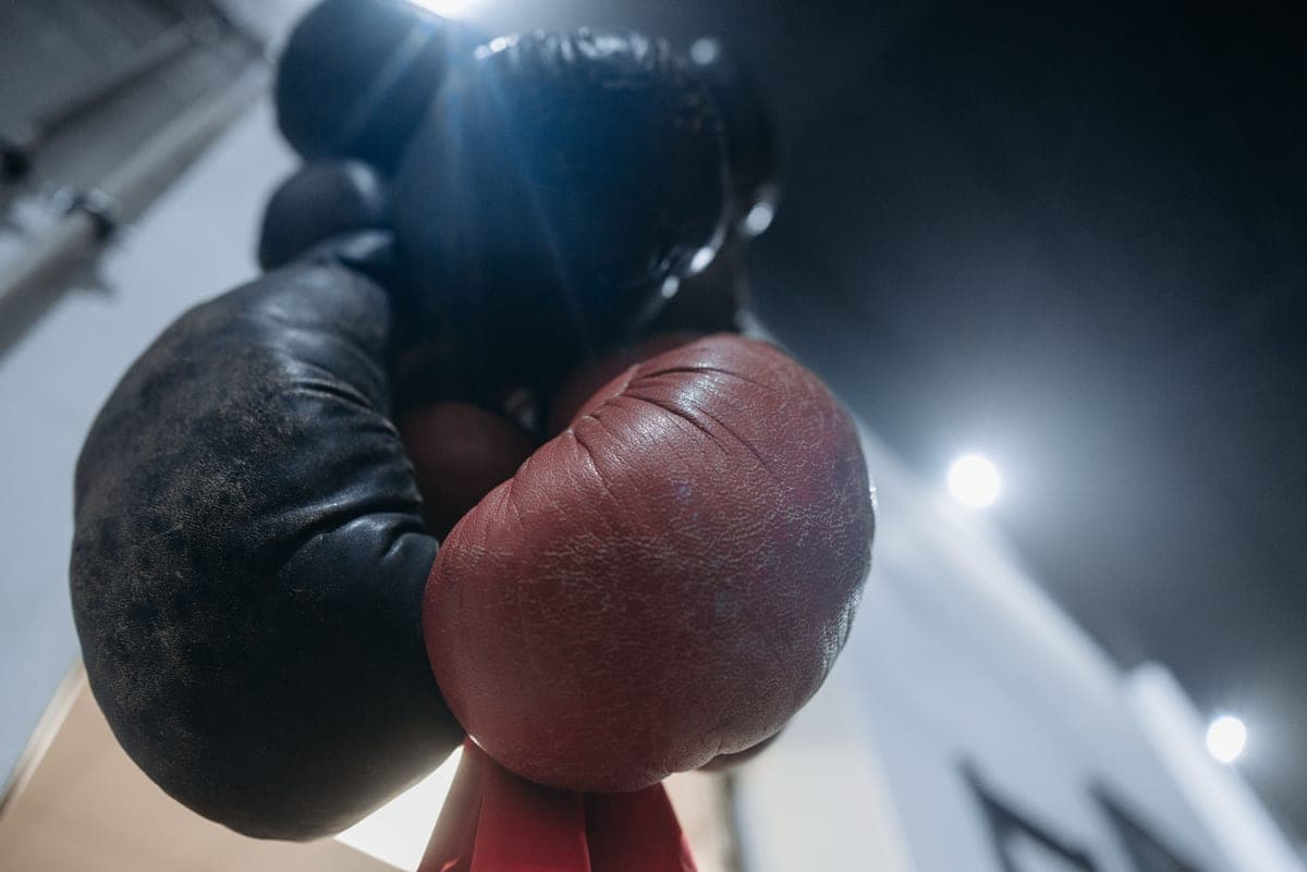 Red and black boxing gloves hanging in a gym, seen from below